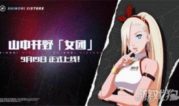 火影手游井阵最新爆料,火影手游神秘角色即将登场，实力与颜值并存！